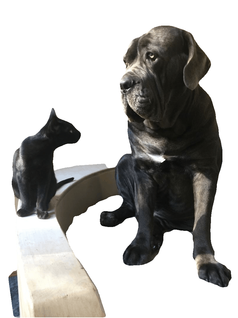 Testimonials Astro's Oil Kidney Disease Care