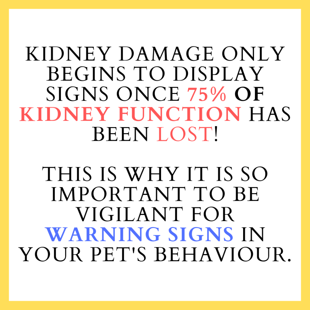 Brief Description of Kidney Disease Astro's Oil Kidney Disease Care