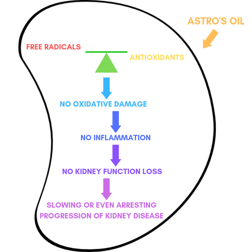 Brief Description of Kidney Disease Astro's Oil Kidney Disease Care