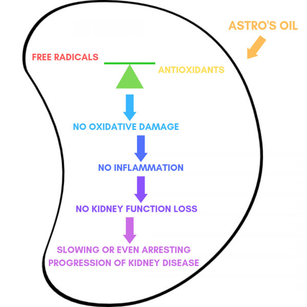Brief Description of Kidney Disease Astro's Oil Kidney Disease Care