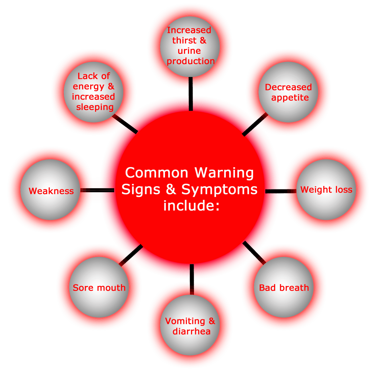 Brief Description of Kidney Disease Astro's Oil Kidney Disease Care