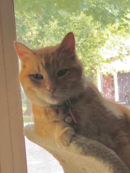 Franklin